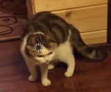 1394173926338