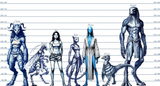 Female Lineup