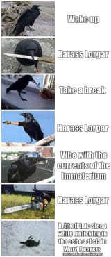 1703186379512754