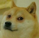 f2e