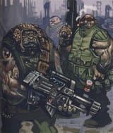 ogryn 3