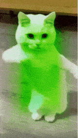 1753188649486935