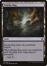 c19-232-bojuka-bog