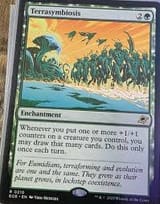 terrasymbiosis
