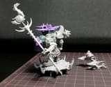 tzaanbull2
