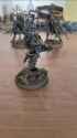 Grot3_360_thumb.jpg