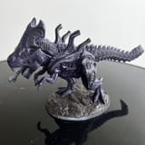 720X720-xeno-trex0.tdf_65407c70a34531.13290149-65407ca1a09b4