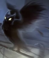 strix
