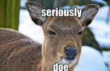doe