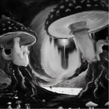 MushroomForests