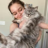 Khajit has whores if you have coin
