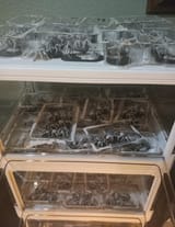 90 percent done assembling spidernids