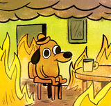 this_is_fine
