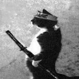 Cat with Katana
