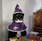 wizzard kot