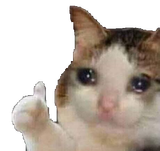 okcat