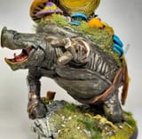 Turtleman
