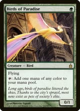 rav-153-birds-of-paradise