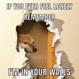 wal