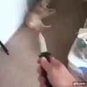 1555174329705_thumb.jpg