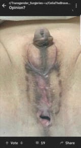 Thread 96043472 OP Image