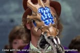 Neurowonka