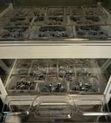 120 spiders are ready to paint