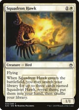 hawk