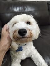 IMG20250625172822