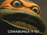 trigg-tmnt