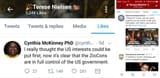 terese-nielsen-likes-alt-right-conspiracy-racist-tweets-1024x497