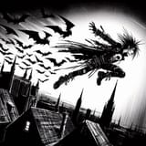 Chiropteran
