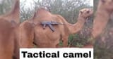 images.jpeg-360