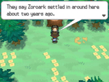 zoroark can talk