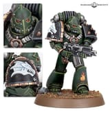 salamander_tactical