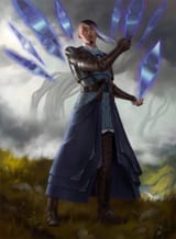 Niko_Aris_variant
