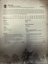 Praetor rules