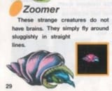 Zoomer