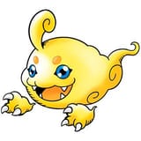 mokoko