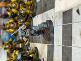 IMG_7784