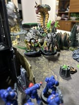 IMG_9878
