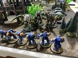IMG_9879