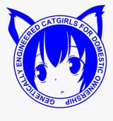 domesticated catgirls