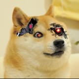 The flesh is weak