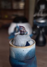 bird-head