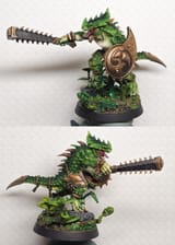lizard