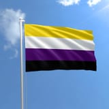 nonbi-flag_flying_800-5[1]