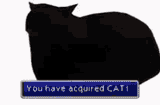 You have acquired CAT