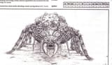 giant spider