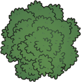 tree_32d